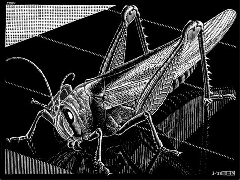 Kunstreproduktionen Grasshopper Von Maurits Cornelis Escher Inspiriert