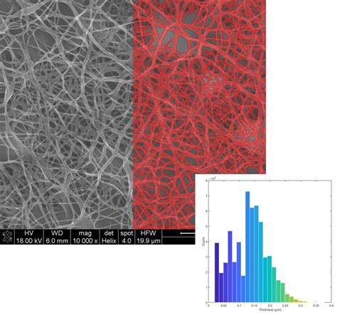 Grain Size Measurement Particle Analysis Fiber Thickness