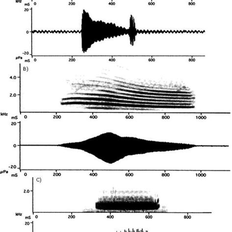 Spectrograms Top And Oscilograms Of The Calls Of A Engystomops