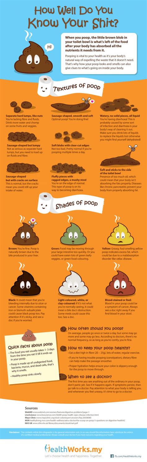 The Meaning Of Your Poops Your Poops Can Describe You Health