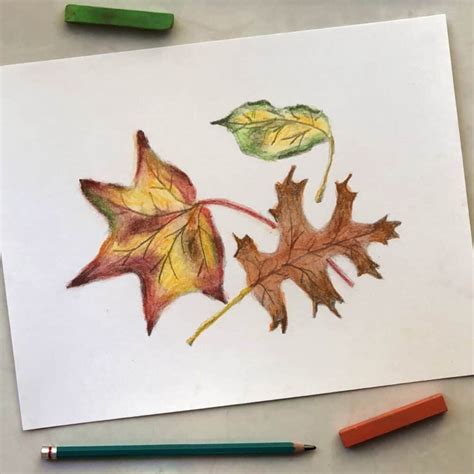 Draw Easy Fall Leaves Step-by-step (Realistic Autumn Leaf Sketch ...