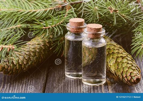 Bottles Of Spruce Essential Oil Spruce Cones With Fir Branches On Dark