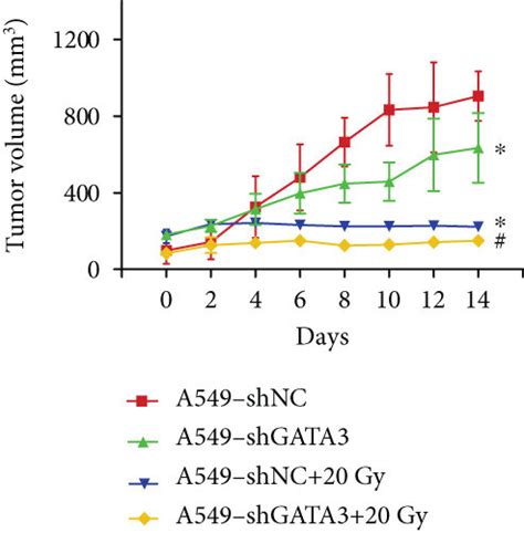 Knockdown Of Gata3 Can Enhance The Radiosensitivity Of A549 Rr Cells