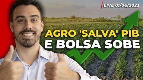 Agro Impulsiona PIB E Ajuda Ibovespa Magalu MGLU3 Dispara 7