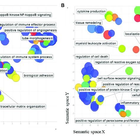 A The Scatterplot Shows The Cluster Representative Genes Of