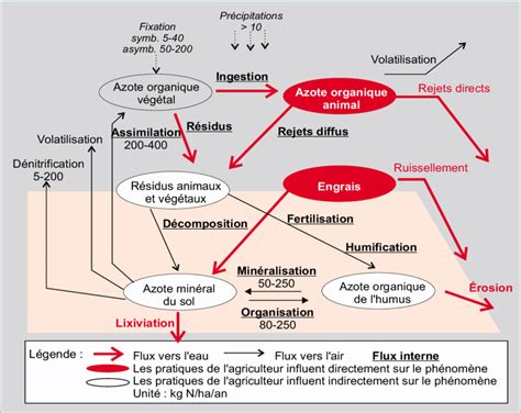 Transformations De L Azote Dans Le Sol Et Transferts Vers Les Eaux