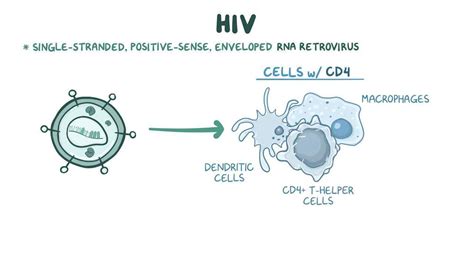 Protease inhibitors: Video, Causes, & Meaning | Osmosis