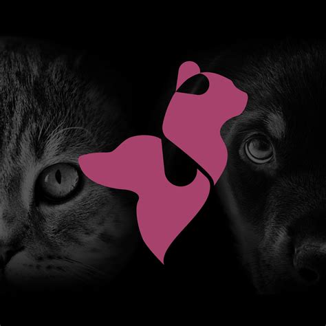 "I realized that cats make a perfect audience, they don't laugh at you