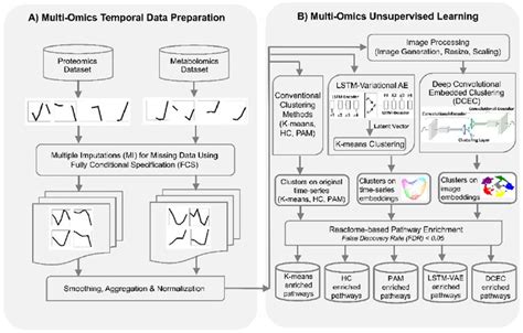 Integrative Clustering Workflow For Temporal Multi Omics Data