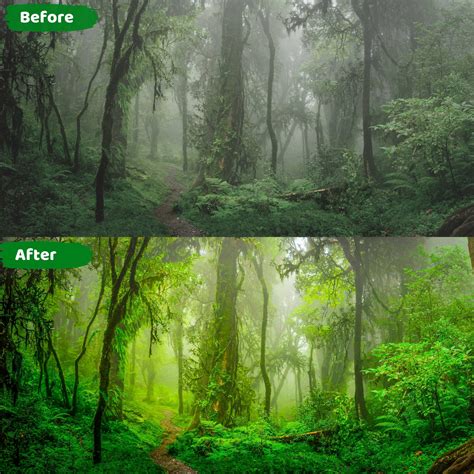 final cut pro how to add luts 5