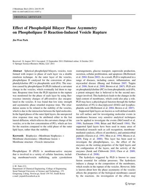 PDF Effect Of Phospholipid Bilayer Phase Asymmetry On Phospholipase D