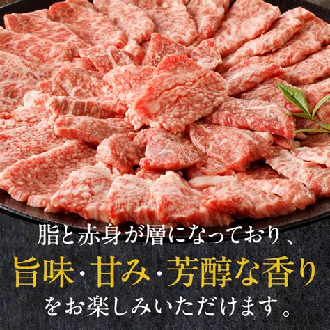 宮崎牛 カルビ 焼肉 500gm243 004の返礼品詳細 Jr東日本が運営【jre Mallふるさと納税】