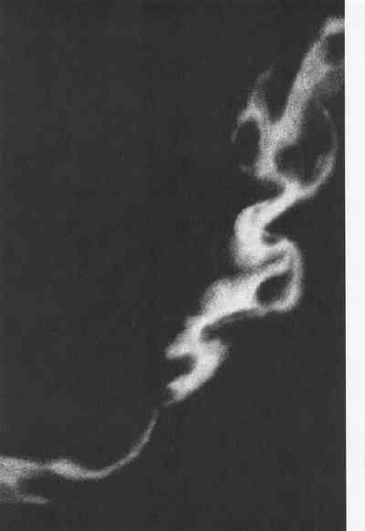 Tsumagushi Nhentai Hentai Doujinshi And Manga