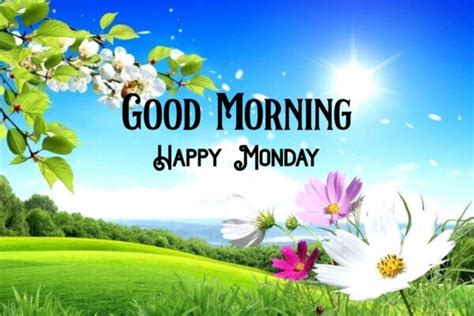 Good Morning Wishes On Monday Pictures Images