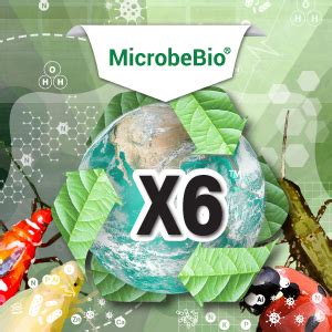 Microbebio X Microbial Fertilizer Organic Fertilizer Usa