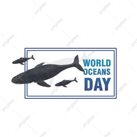 รูป3d Whales With World Oceans Day Png ปลาวาฬ 3d วันมหาสมุทรโลกภาพ