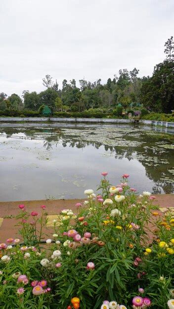 Premium Photo | Beautiful scenic garden of kodaikanal bryant park one ...