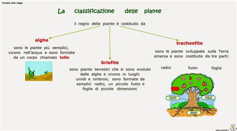 Paradiso Delle Mappe La Classificazione Delle Piante