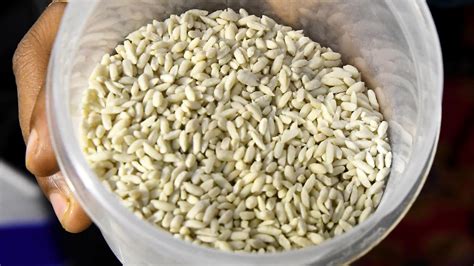 FCI Procures 17 5 LMT Of Fortified Rice In 2021 22 In Andhra Pradesh