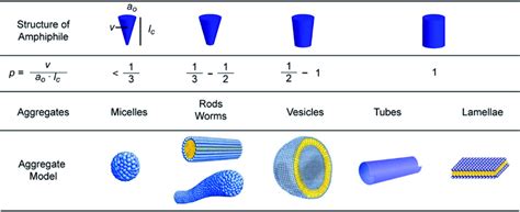 Influence of the packing parameter (p) of an amphiphile on the ...