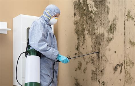 What Causes Mold Problems In Buildings Located In Washington DC