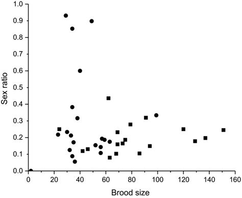 The Relationship Between Offspring Sex Ratio And Brood Size In Forty