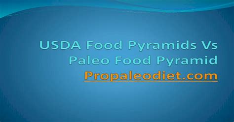 Usda Food Pyramid Vs Paleo Food Pyramid [pdf Document]