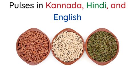 List Of Lentils And Pulses Names In English Hindi And 49 OFF