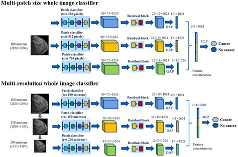 Bioengineering Free Full Text Exploiting Patch Sizes And