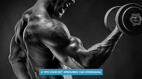 6 Tips Voor Het Opbouwen Van Spiermassa Tip Beyond Yourself