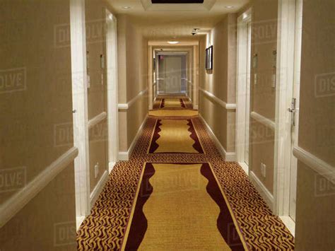 Bright Lights Shine Down On The Elegantly Decorated Hallway Of A