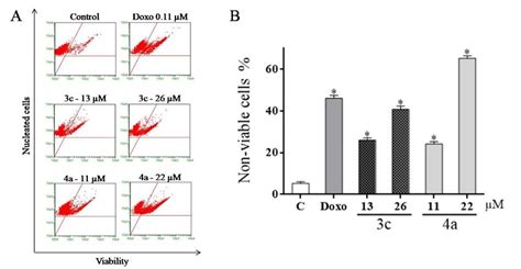 Effect Of Compounds 3c And 4a On Cell Viability Of HL 60 Cells Using