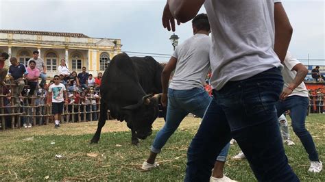 Así se vivió el embalse y suelta de toros en Tlacotalpan video xeu