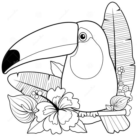 Toucan Coloring Pages Free Printable Sheets Gbcoloring