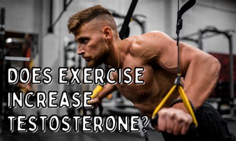 Does Exercise Increase Testosterone Nxtep Personal Training