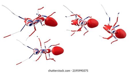 Ant Uphill Images Stock Photos D Objects Vectors Shutterstock