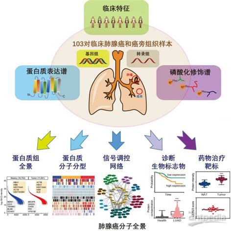 专家点评cell“帽子戏法” 肺腺癌研究重大进展：多组学整合精准医学研究时代来临 微信文章 仪器谱