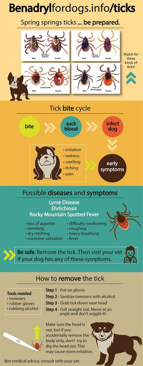 How To Remove A Tick From A Dog's Body - HOWTORMEOV