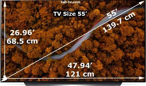 What Are The Dimensions Of A 55 Inch Samsung TV In Depth Explanation