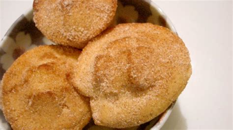 Mini Doughnuts Recipe - Food.com