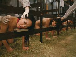 BDSM MiX 23 PeT Girls By DarKKo Porn Pictures XXX Photos Sex Images 1190711 PICTOA