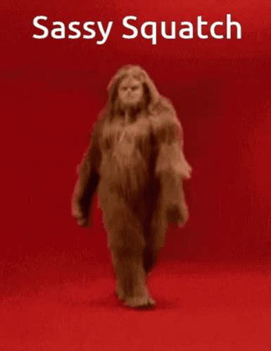 Sassy Squatch Sassy Squatch Sassy Squatch Discover Share Gifs