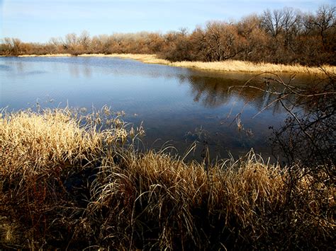 Salt Plains National Wildlife Refuge, an Oklahoma National Wildlife Refuge