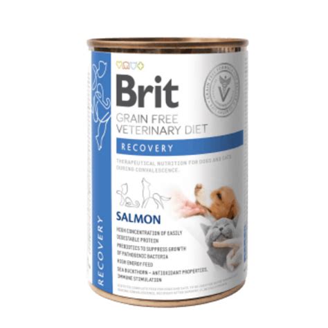 BRIT VETERINARY DIET RECOVERY 400gr - Mascotas Vet Shop