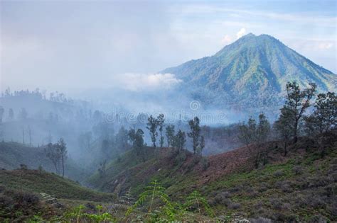 Early Morning Landscape With Jungle Forrest And Volcano Java Island