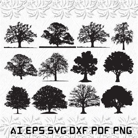 Oak Tree Svg Trees Svg Oak Svg Leaf Tree Svg Ai Pdf Etsy Israel