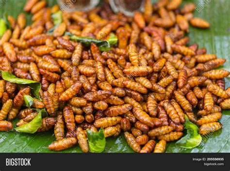 Fried Insects Crispy Image & Photo (Free Trial) | Bigstock