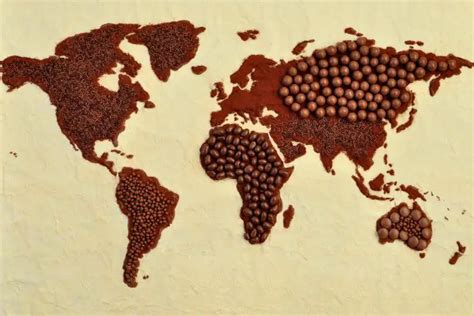 The Great Chocolate Crisis How Swift Action Halted A Salmonella Epidemic