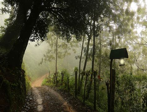 20 Things To Do In Munnar Weekend Thrill