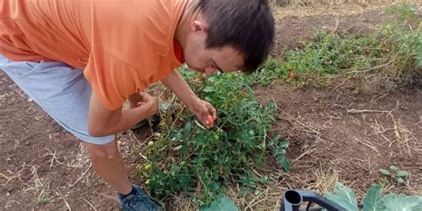 Coltiviamo L Agricoltura Sociale Premiati I Vincitori Del Bando